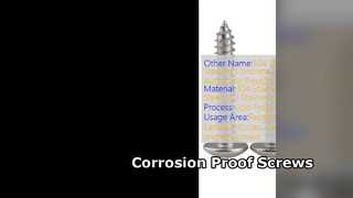 Tornillos autorroscantes de acero inoxidable 304